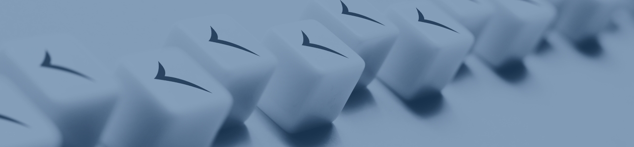 bfsg.ai checkliste